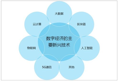 2021-2027年中國數(shù)字經(jīng)濟(jì)行業(yè)市場現(xiàn)狀調(diào)查及投資戰(zhàn)略咨詢報(bào)告